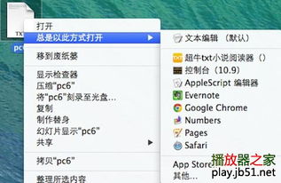 超牛txt小说阅读器 for Mac v1.6 官方最新苹果电脑版深度解析与获取指南