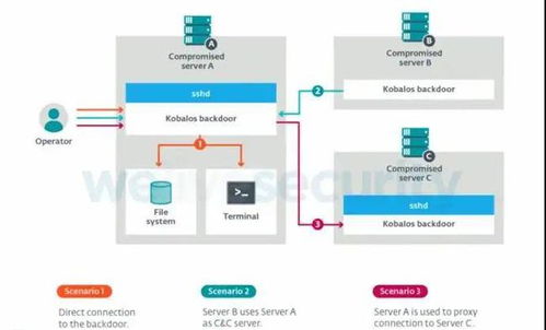 警惕“微型”恶意软件 全球超级计算机通用后门漏洞的启示